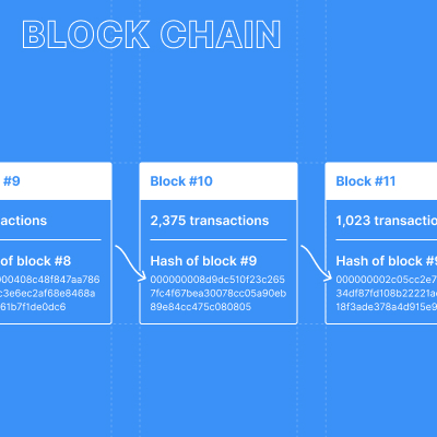 Several blocks chained together via their hashes